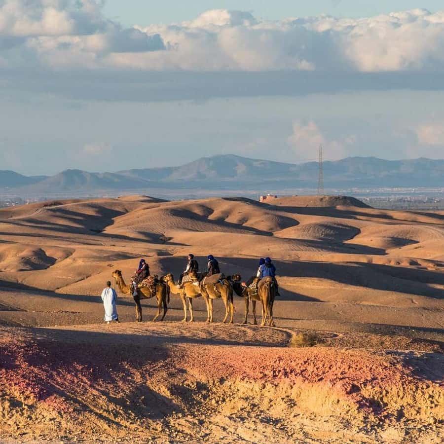 Marrakech: Agafay Desert Dinner Show with Sunset Camel Ride - Music, dancing, and the fire show