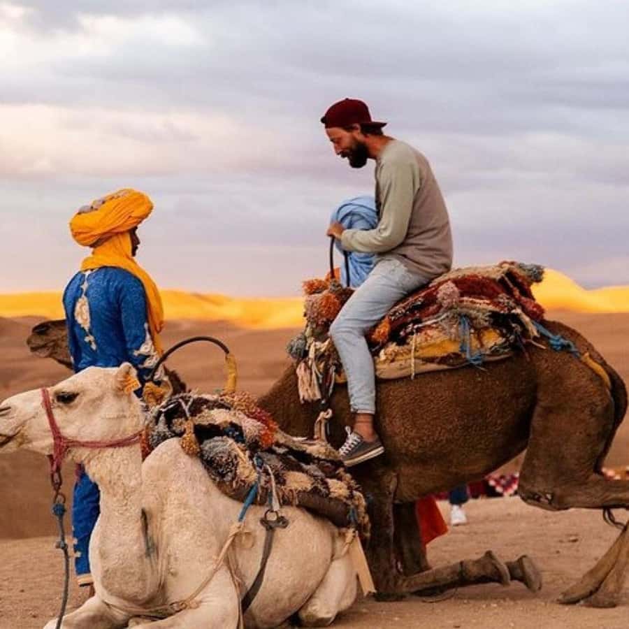 Marrakech: Agafay Desert Dinner Show with Sunset Camel Ride - The argan oil co-op adds local context