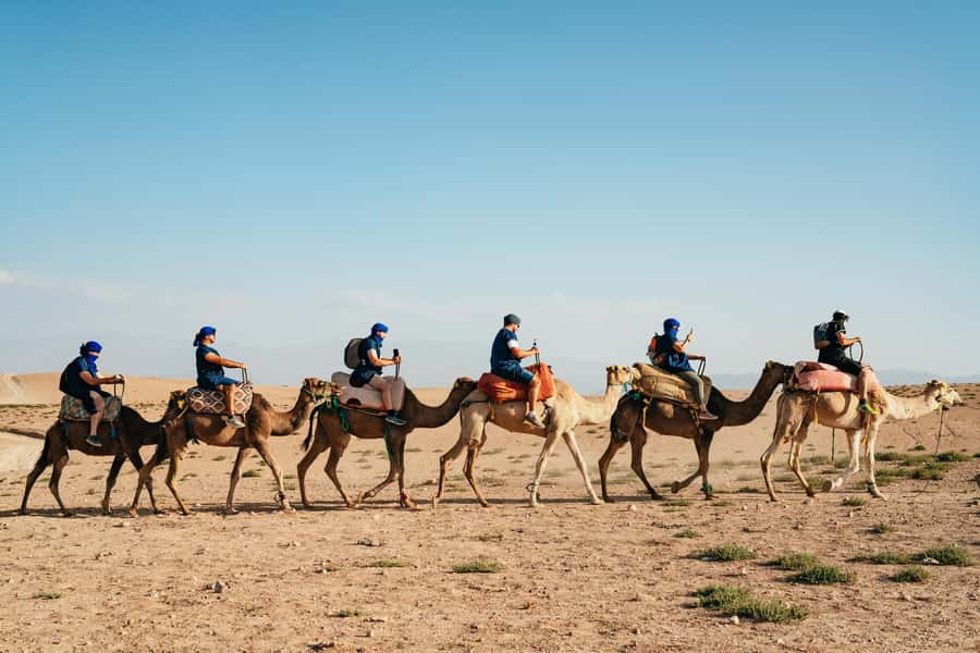 Marrakech: Agafay Desert Pool, Dinner & Live Show Experience - Should you book it?