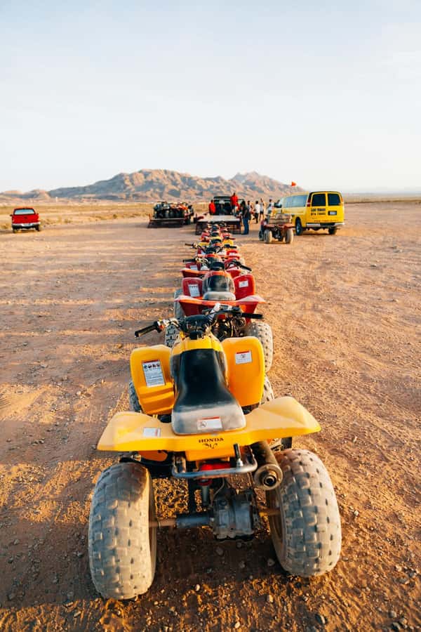 Marrakech: Agafay Desert Quad Bike with Camels & Dinner Show - At a Glance