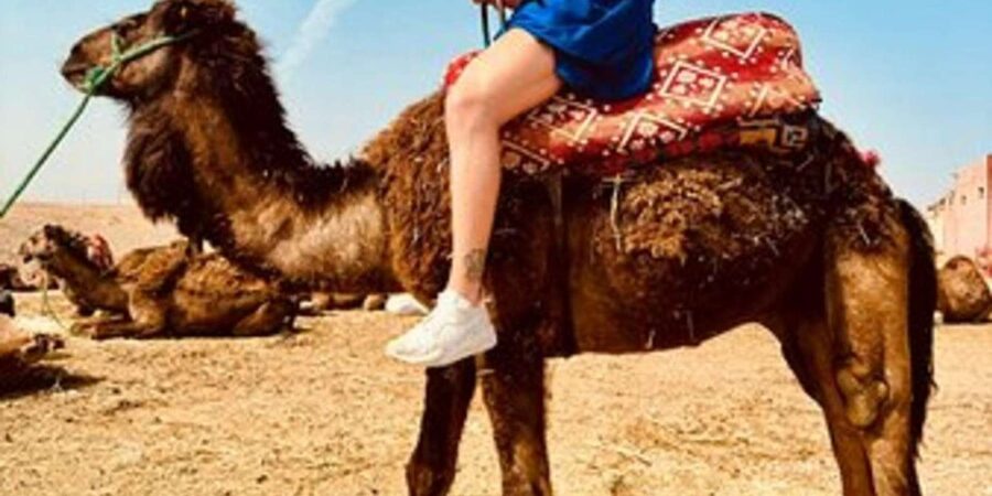 Marrakech: Agafay Desert Quad Biking with Dinner & Show - Guides make the difference