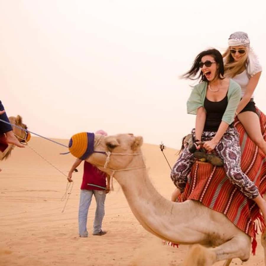 Marrakech: Agafay Desert Quad & Camel Rides Whit Dinner Show - From Marrakech to the Agafay Desert