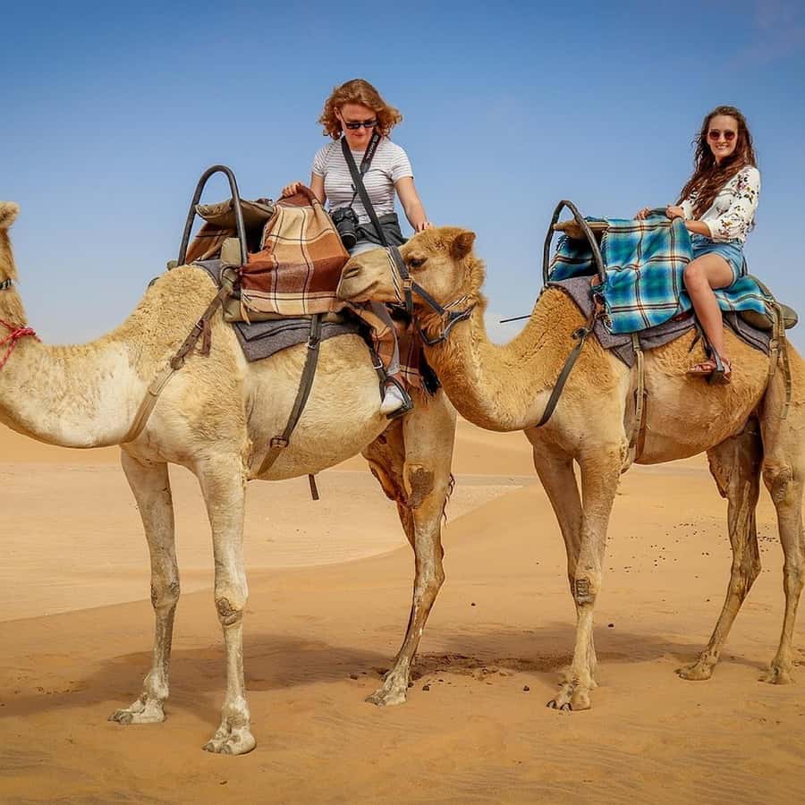 Marrakech: Agafay Desert Quad & Camel Rides Whit Dinner Show - The Guides and the Group Experience