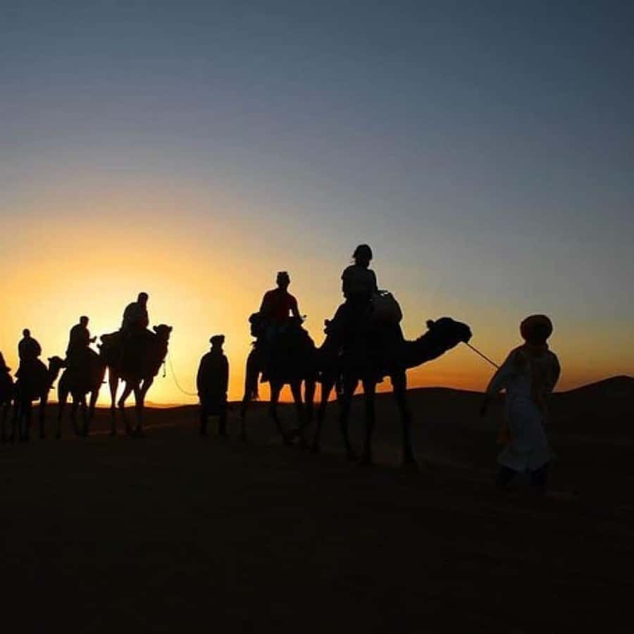 Marrakech: Agafay Desert Quad & Camel Rides Whit Dinner Show - Quad Biking on Agafay’s Rough Trails