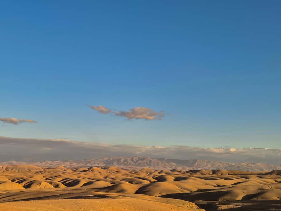 Marrakech: Agafay Desert Quad Tour with Dinner & Show - Music, traditional performance, and the fire show