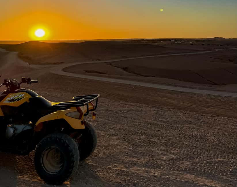 Marrakech: Agafay Desert Quad Tour with Dinner & Show - Who will enjoy this evening most