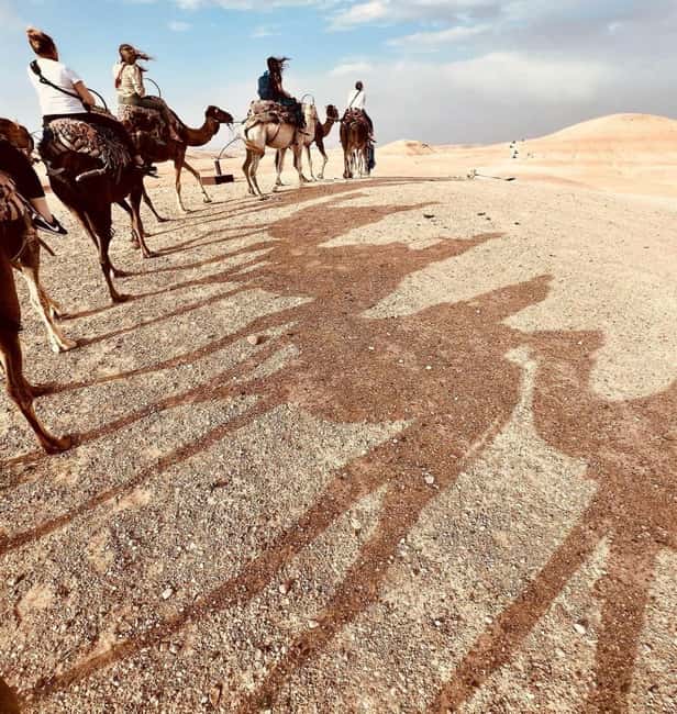 Marrakech: Agafay Desert Sunset, Camel Ride, Dinner and Show - What the $17 price really gives you