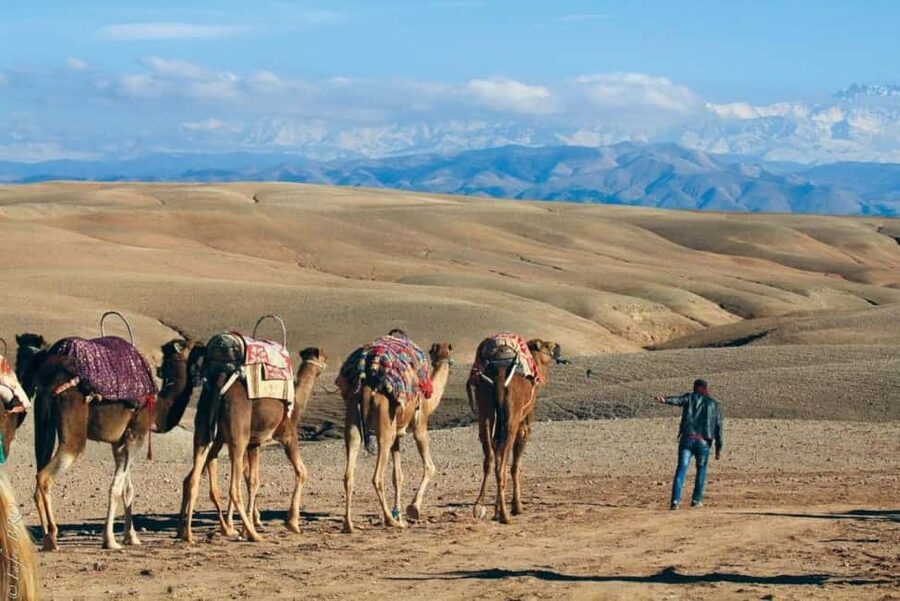 Marrakech: Agafay Desert Sunset, Camel Ride, Dinner and Show - Sunset over Agafay’s lunar terrain