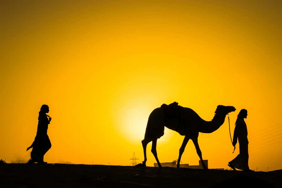 Marrakech : Agafay Desert Sunset Camel Ride & Luxury Dinner - Key points to know before booking