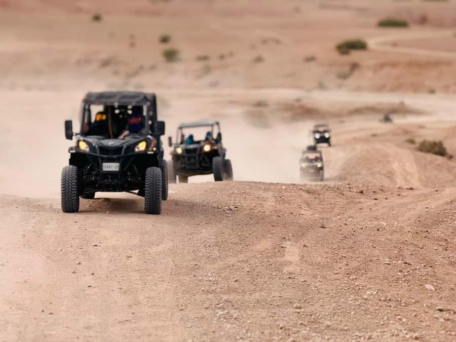 Marrakech: Agafay Dinner Show, Camel Ride, Quad, or Buggy - Key points to know before you go