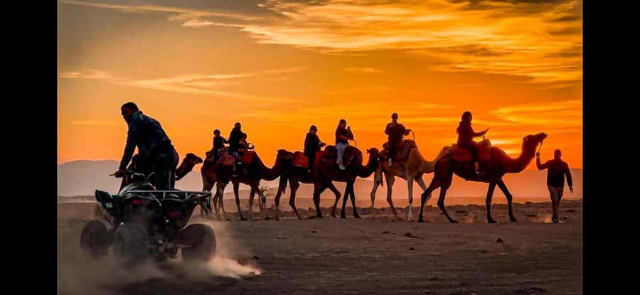 Marrakech: Agafay Dinner Show, Camel Ride, Quad, or Buggy - Should you book the Agafay dinner show?