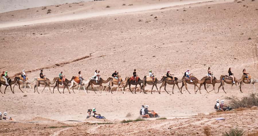 Marrakech: Agafay Ds Sunset with Dinner, Show & Tuareg Music - The guide can make or break the evening
