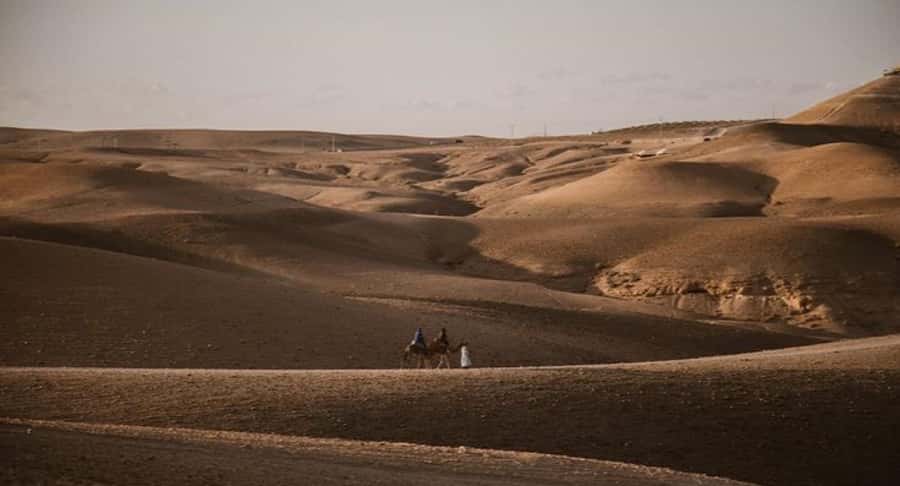 Marrakech: Agafay Ds Sunset with Dinner, Show & Tuareg Music - Who should book this Agafay evening?