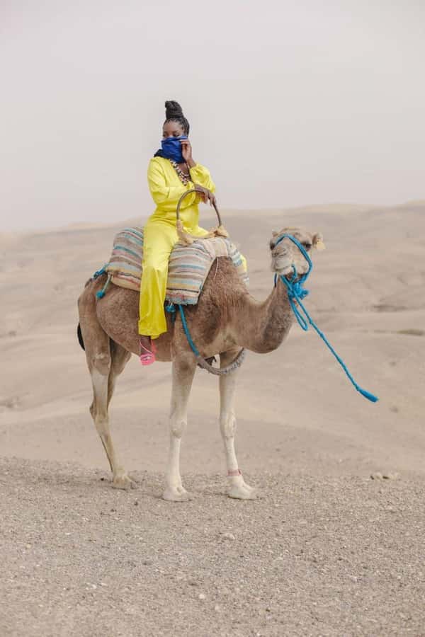 Marrakech: Camel & Quad Bike Tour with Sunset, Dinner & Show - From Marrakech Medina to the Agafay Desert