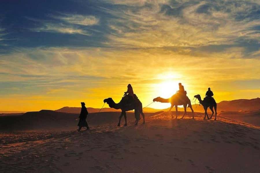 Marrakech: Camel & Quad Bike Tour with Sunset, Dinner & Show - A slower camel ride before sunset