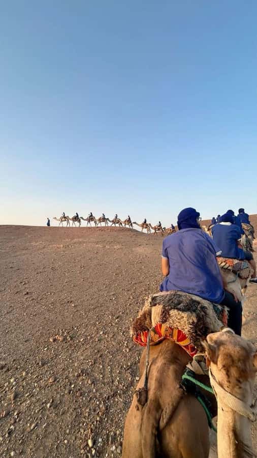 Marrakech: Camel & Quad Bike Tour with Sunset, Dinner & Show - Dinner under a Berber tent