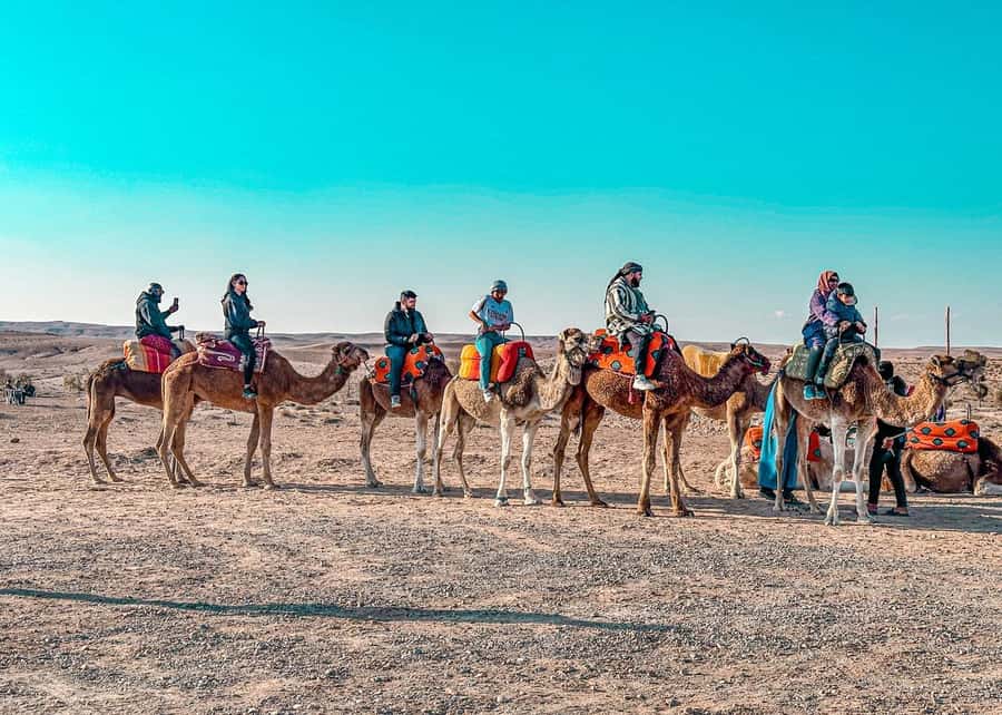 Marrakech: Camel Ride, Dinner, Pool, and Fire Show in Agafay - Key points to know before you book
