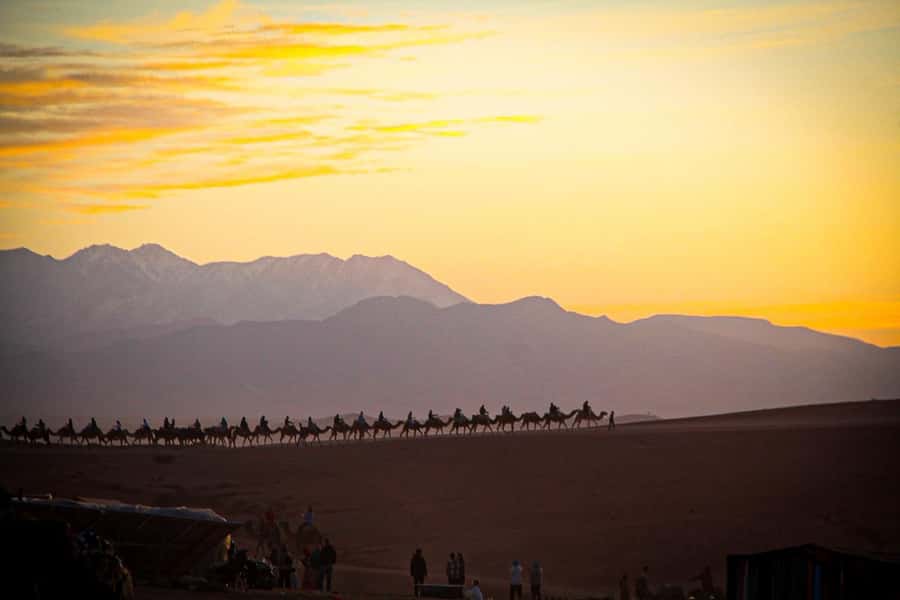 Marrakech: Camel Ride, Dinner, Pool, and Fire Show in Agafay - Who will enjoy this Agafay evening most