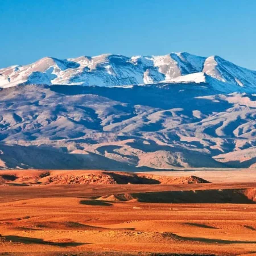 Marrakech: Camel Ride & Sunset Dinner with Fire Show - Camel riding at sunset in Agafay