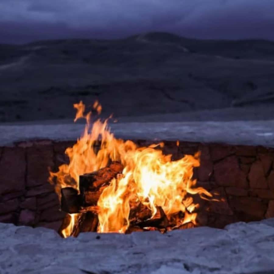 Marrakech: Camel Ride & Sunset Dinner with Fire Show - Who will enjoy this tour most