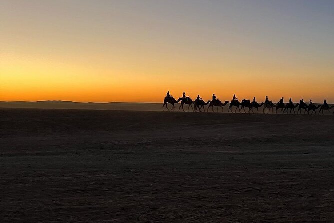 Marrakech: Camels & Quads on Sunset and Luxury Dinner with Show - Dinner under the stars and the evening show