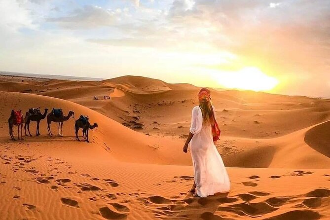 Marrakech Desert: Camel Ride, Quad Biking & Dinner Show Options - What the transport and timing mean in practice