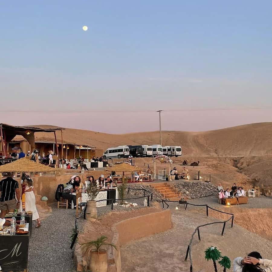 Marrakech: Desert Tour with Dinner, Show and Camel Ride - Timing, comfort, and who should book