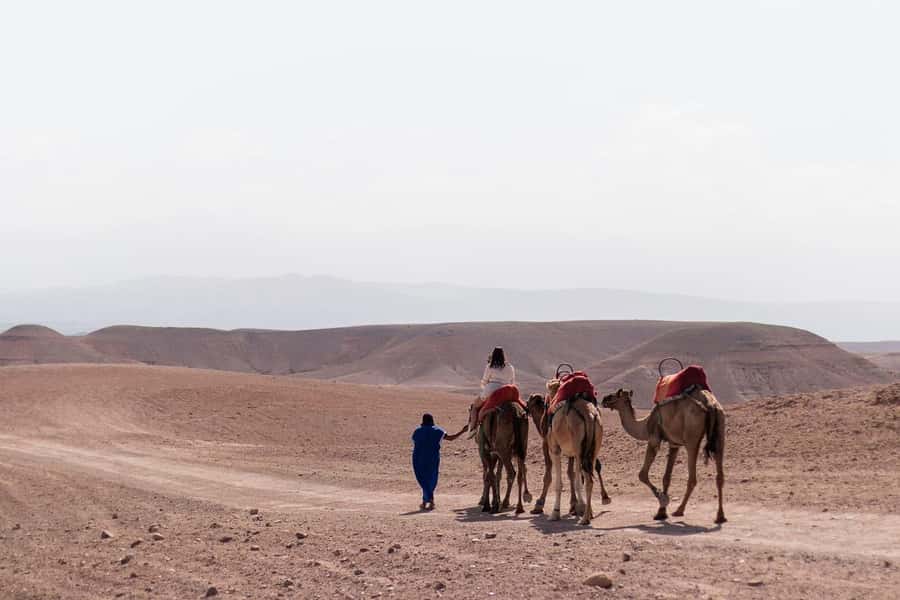 Marrakech: Dinenr In Agafay, Sunset Camel Ride & Fire show - Leaving Marrakech for Agafay’s rocky hills