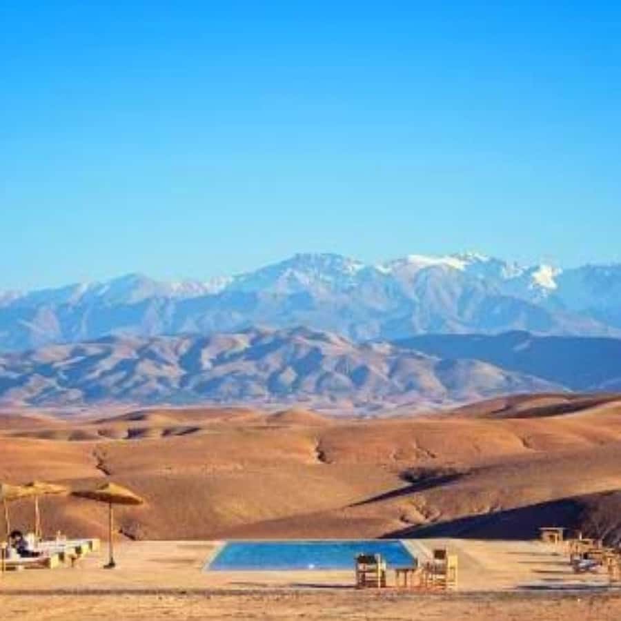 Marrakech: Dinner and Quad bike Desert Agafay Stars & show - The camel ride: slower, quieter, and more traditional