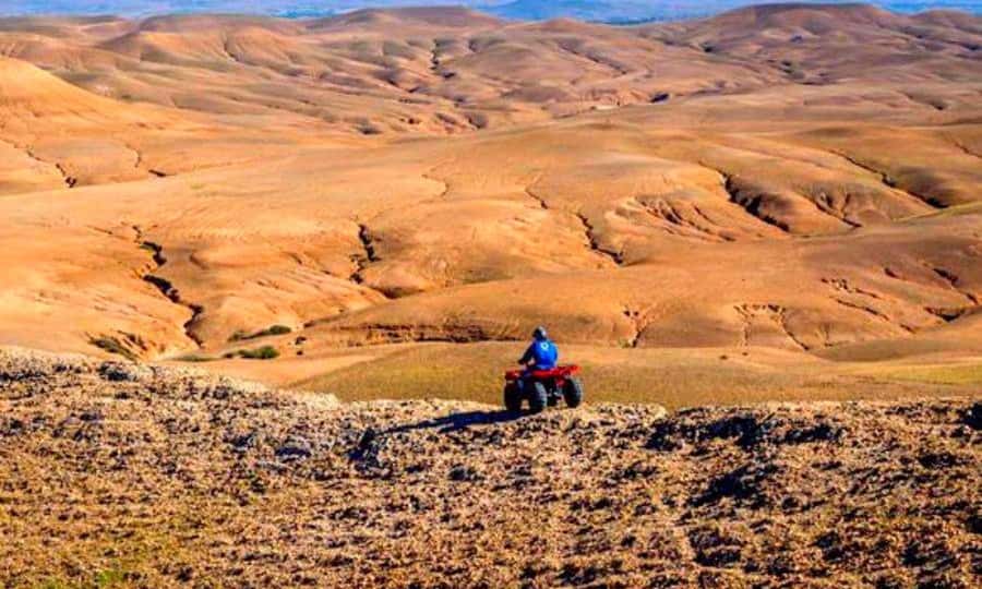 Marrakech: Dinner and Quad bike Desert Agafay Stars & show - Guides who can make or break the evening
