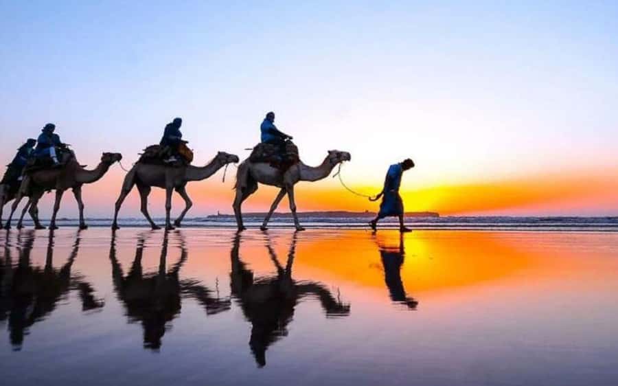 Marrakech Dinner Show Agafay Desert with Camels swiming pool - Key details to know before booking