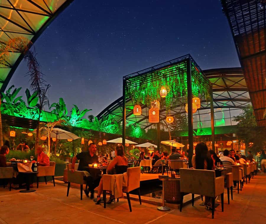Marrakech : Dinner Show at Nouba Restaurant - The show: singers, dancers, acrobats, and a DJ