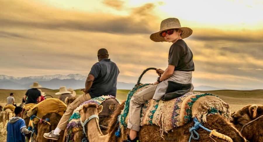 Marrakech: Quad Bike and Camel, Dinner Show in Agafay Desert - Mint tea and the argan oil cooperative