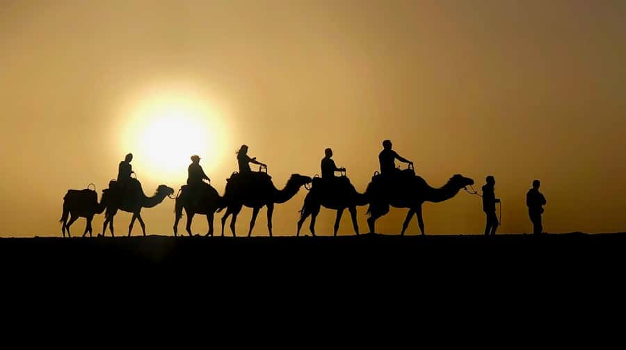 Marrakech: Quad Bike & Camel with dinner show & sunset - Key points at a glance