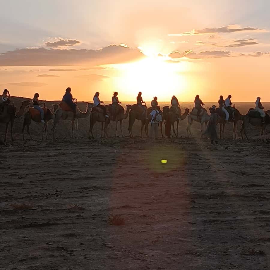 Marrakech: Quad Bike & Camel with dinner show & sunset - Leaving Marrakech for Agafay at 4:00 PM