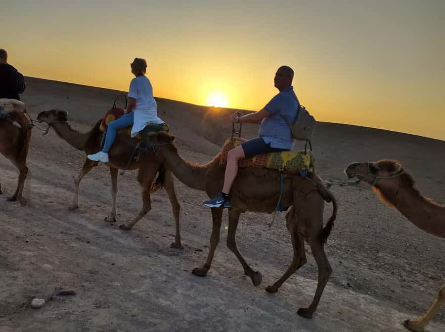Marrakech: Quad Bike & Camel with dinner show & sunset - Quad biking across the Agafay Desert