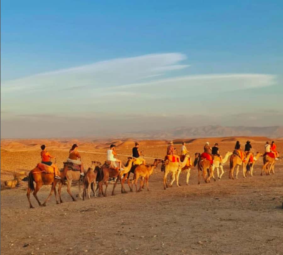 Marrakech: Quad Bike & Camel with dinner show & sunset - Who will enjoy this evening most