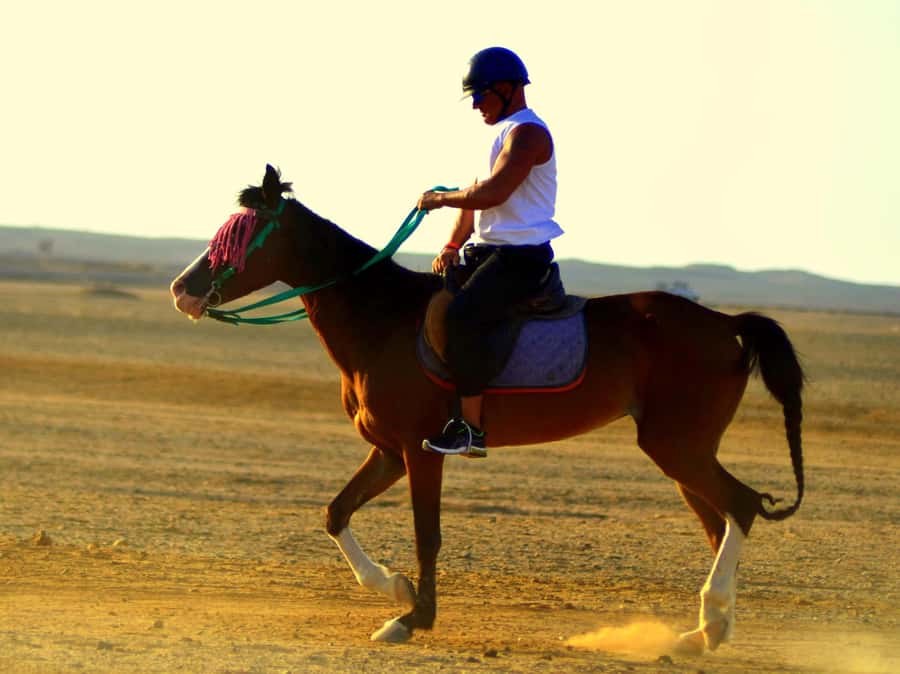Marsa Alam: Sunset Horseback with Dinner, Show & Stargazing - Why the sunset ride works so well