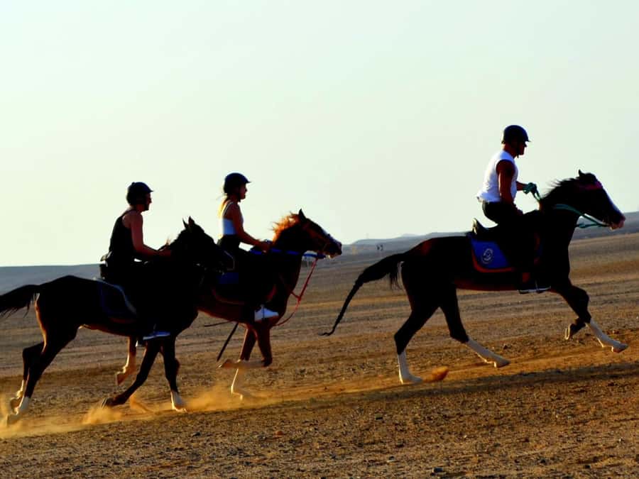 Marsa Alam: Sunset Horseback with Dinner, Show & Stargazing - Who will enjoy this, and who should skip it