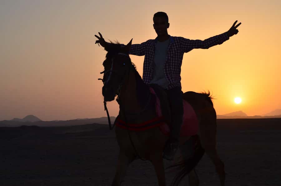 Marsa Alam: Sunset Horseback with Dinner, Show & Stargazing - Should you book this Marsa Alam ride?