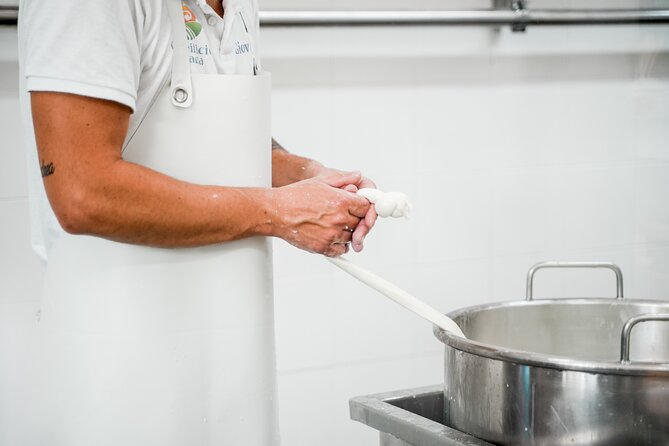 Mozzarella Live Show & Tasting in a Cheese Factory - Who will enjoy this most