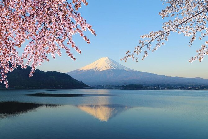 Mt Fuji & Hakone Cruise, Drum Show Bullet Train 1 Day from Tokyo - Why this day trip works from Tokyo