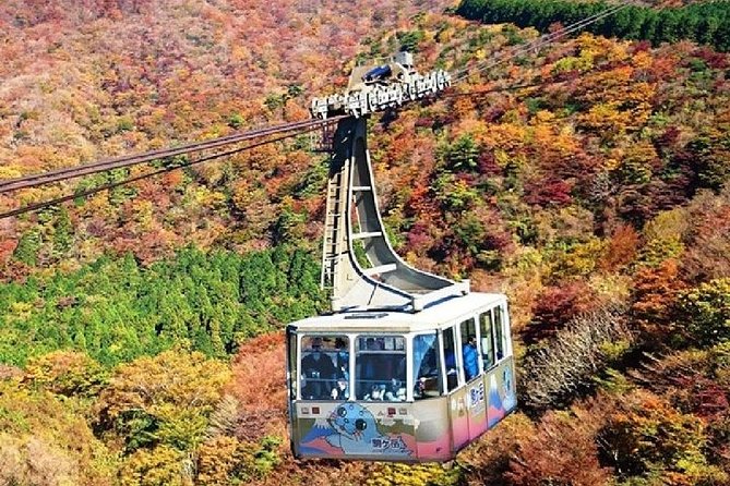 Mt Fuji & Hakone Cruise, Drum Show Bullet Train 1 Day from Tokyo - Cruising across Lake Ashi