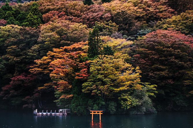 Mt Fuji & Hakone Cruise, Drum Show Bullet Train 1 Day from Tokyo - Weather, backup plans, and the real risk