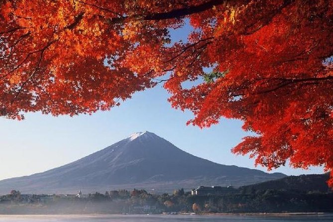 Mt Fuji & Hakone Cruise, Drum Show Bus 1 Day from Tokyo - Cruising across volcanic Lake Ashi