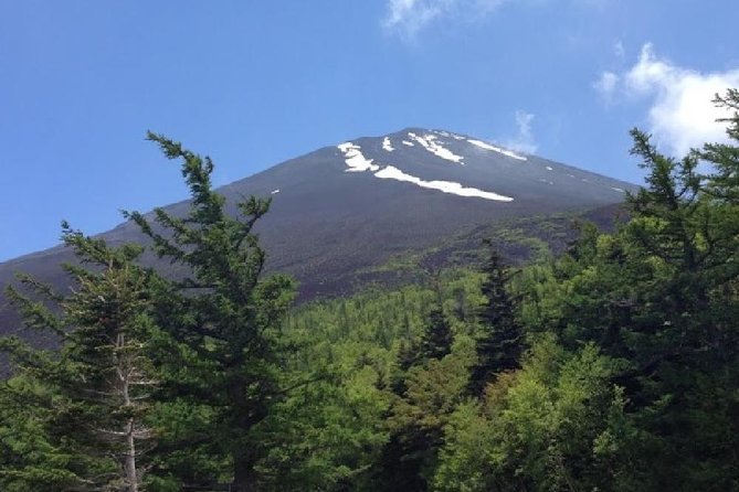 Mt Fuji & Hakone Cruise, Drum Show Bus 1 Day from Tokyo - Who should book this day trip?