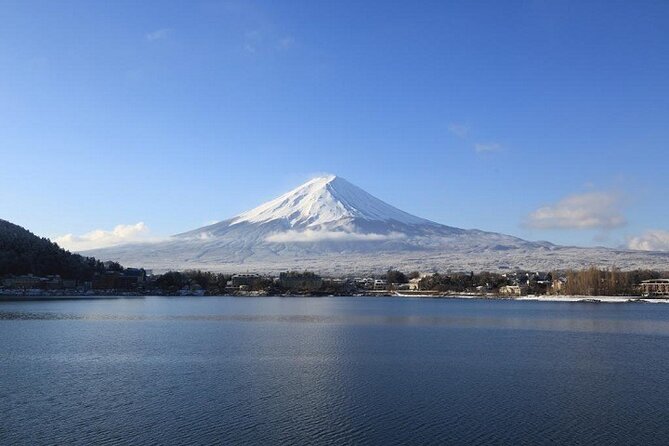 Mt Fuji & Hakone Cruise, Drum Show Bus 1 Day from Tokyo Sta. Area - Lunch at Fuji Zakura Hotel and the wadaiko show