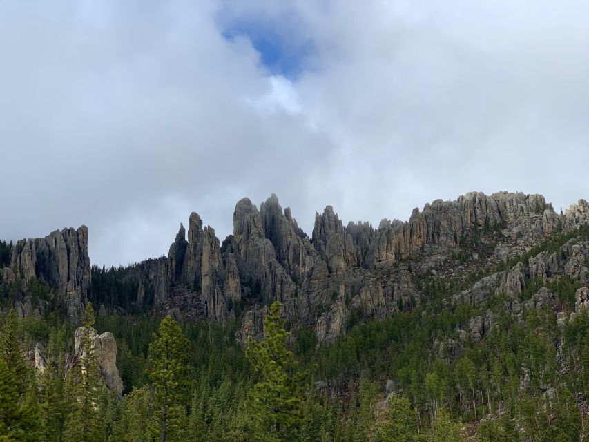 Mt Rushmore, Crazy Horse, Custer State Park Monument Tour - Custer State Park and the burros