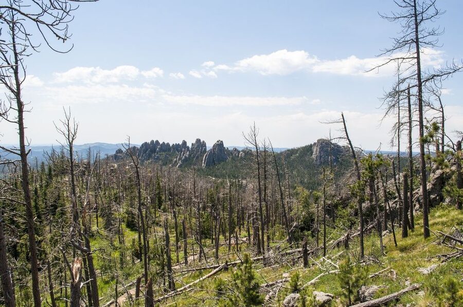 Mt Rushmore, Crazy Horse, Custer State Park Monument Tour - Who should book this private tour
