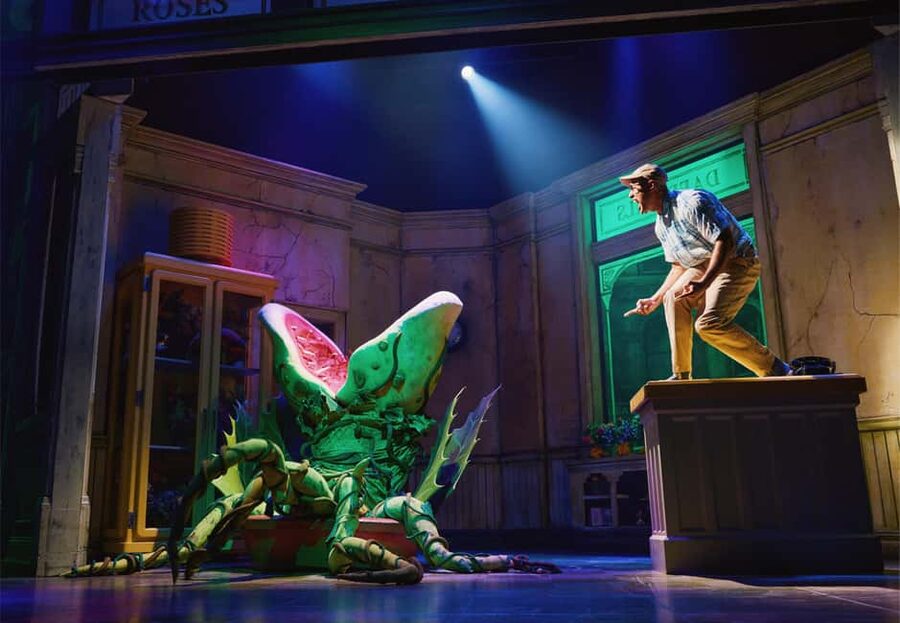 NYC: Little Shop of Horrors Off-Broadway Ticket - The 2020 awards and what they tell you